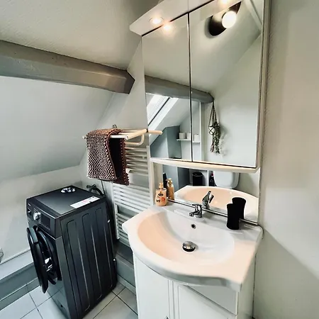 דירה La Mienn'oise אמיינס